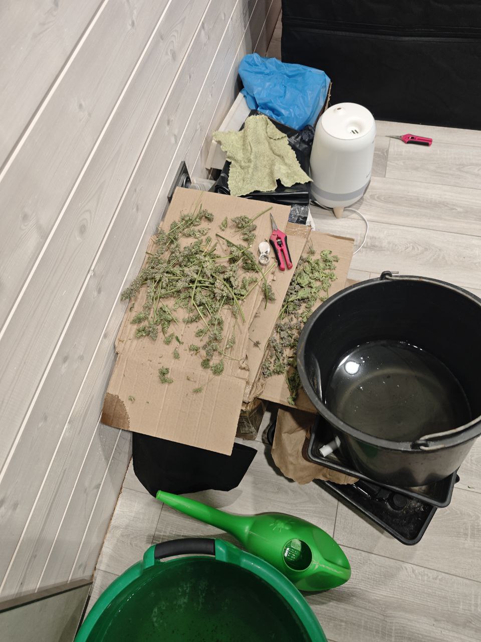 Пензенские полицейские пресекли незаконный оборот крупной партии наркотиков Пензенские полицейские пресекли незаконный оборот крупной партии наркотиков