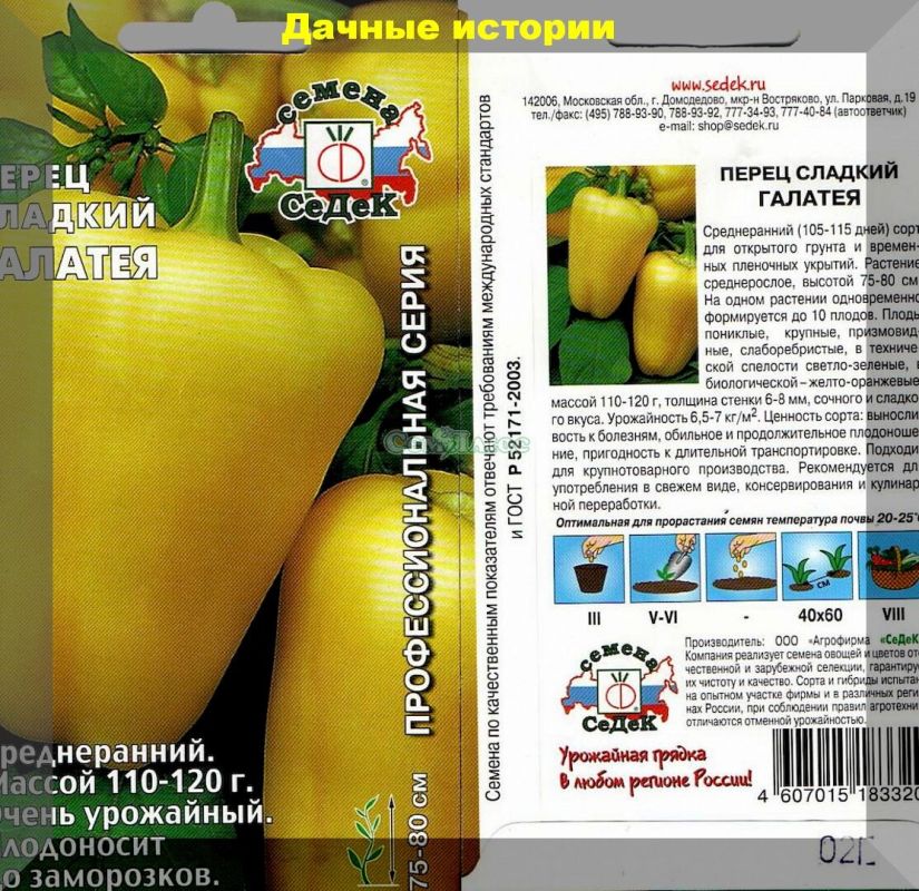 ��������� �������� �����: ����� ������ ����� ��� ������ �������