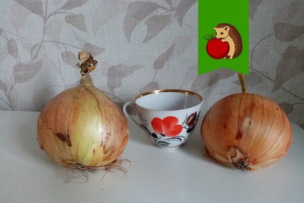 ������ ��� ��������� �� ������� ��������?