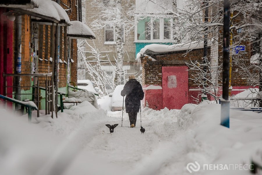 В Пензенской области будет создано движение «За медицину здорового долголетия»