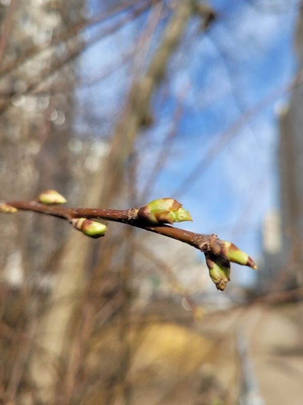 ��� ��������� � �����: ��� ������� ��������� ��������� � ��� ������� ��� ������