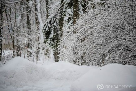 В Пензе 26 февраля ожидается до +1 градуса и небольшой снег