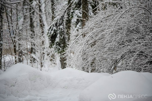 В Пензе 26 февраля ожидается до +1 градуса и небольшой снег
