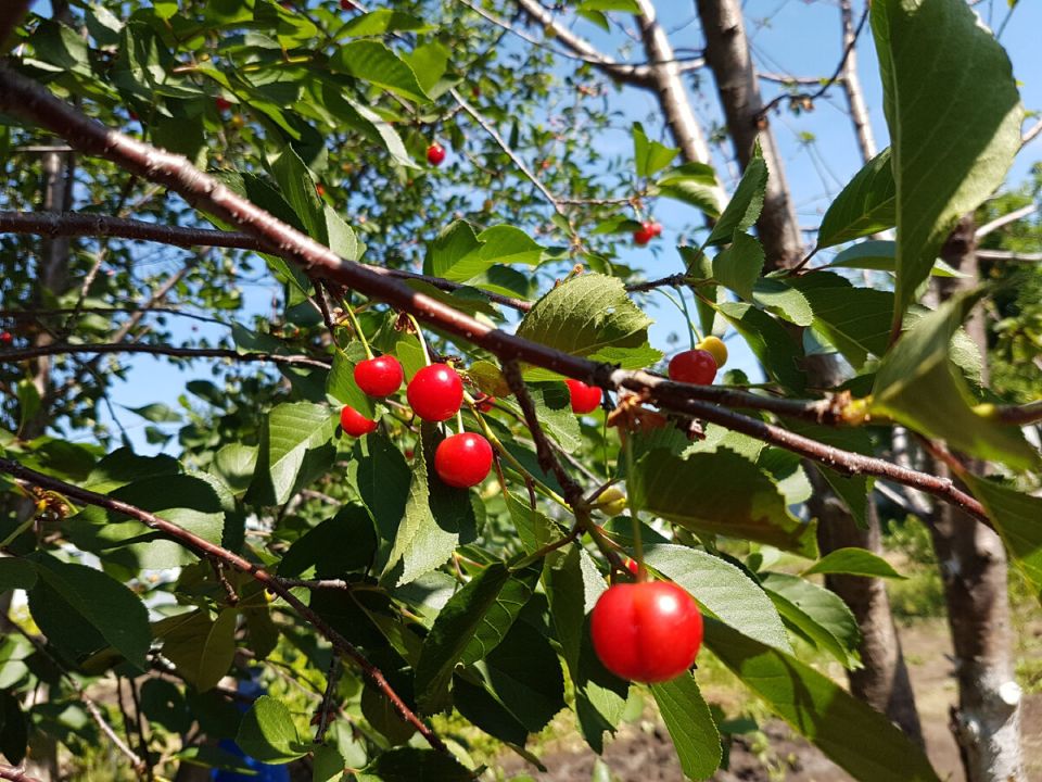 ����� ����� � �������: ������ ������ ��� ������ �����