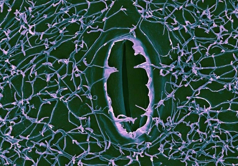 ������ �������� ����������� ������ � ��� ��� �� ����?