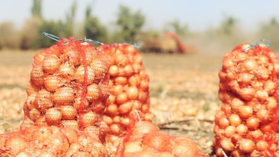 ������������ ������� ����-����� ��� ����: ��� �������� ��������� ������