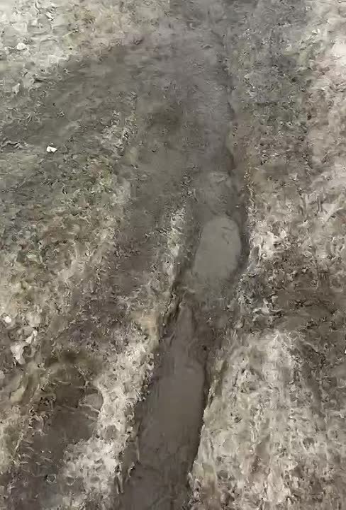 На видео - пешеходный переход на перекрестке улиц Пушкина и Ставского