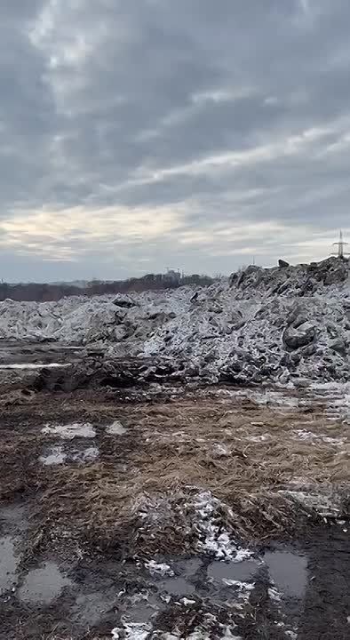 ���� ������������ ������������: ������ ����� ����� ���������� � ������� ������ ����������� ����������?