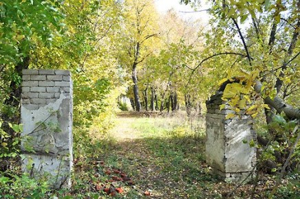 Городской сад: История любви и музыки в сердце Венёва