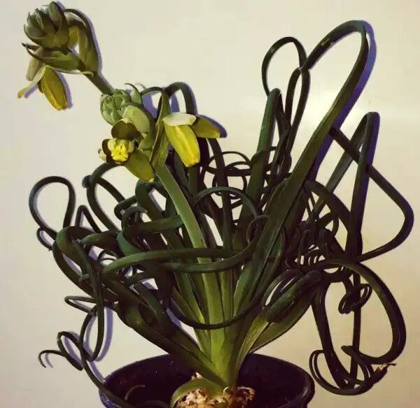 ������� ����������: �������������� ��������, �������������� ���������� ����� ����