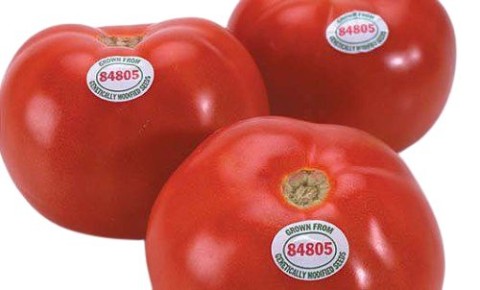 ���-���������� ������: ������������ �������� ��� ������������ ������������?