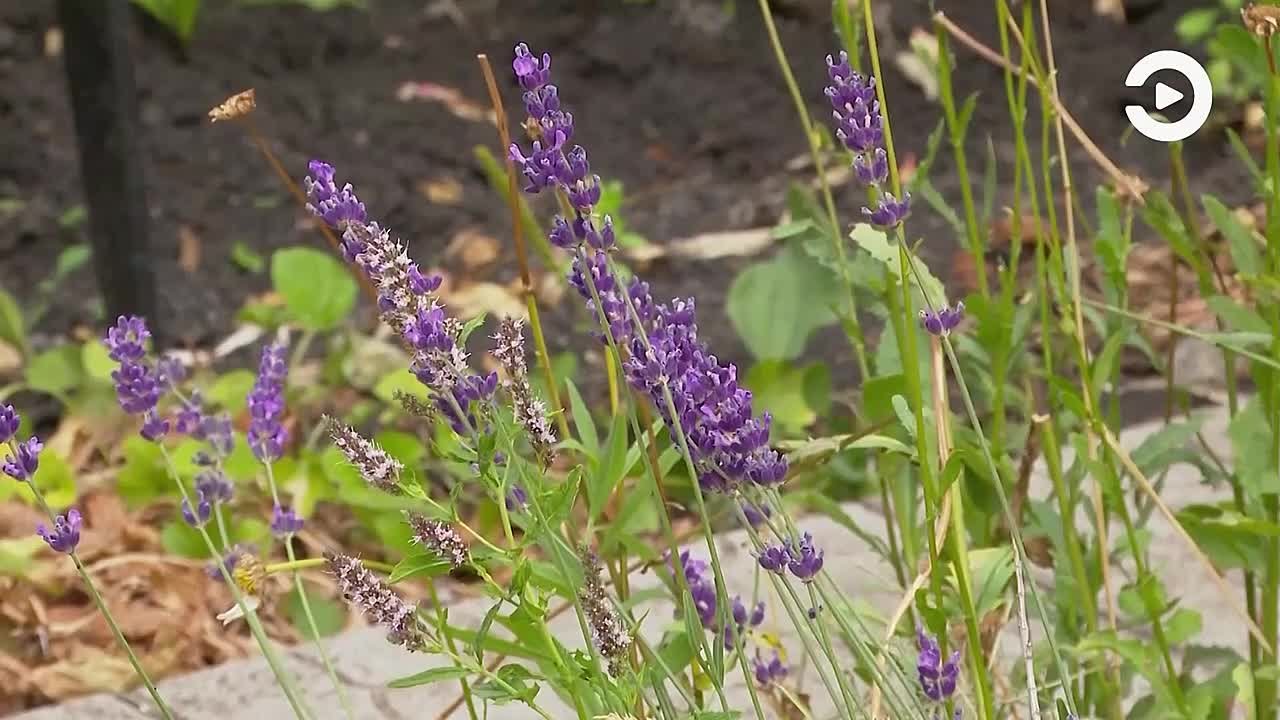 Начало марта - время активных действий у садоводов