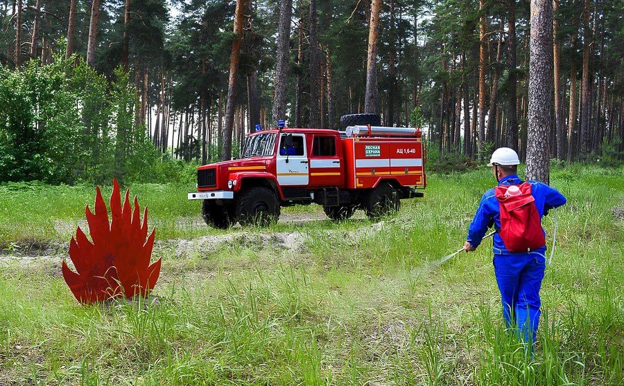 В Пензенской области намерены начать подготовку к весенне-летнему пожароопасному сезону