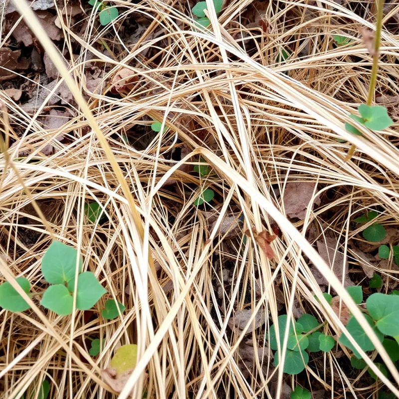 ��� ������� ���������� ������� �� ������� � �������� ������