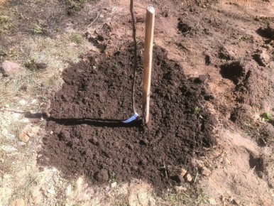 ��� ��������� ����������� ��� ��� ������� ����� �� ����