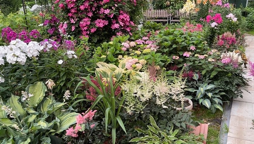 ��� ������� ������ ������������ �������� � ������ �� �������