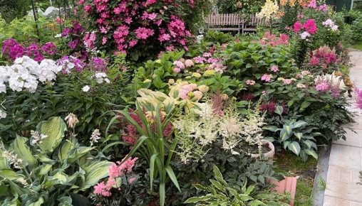 ��� ������� ������ ������������ �������� � ������ �� �������