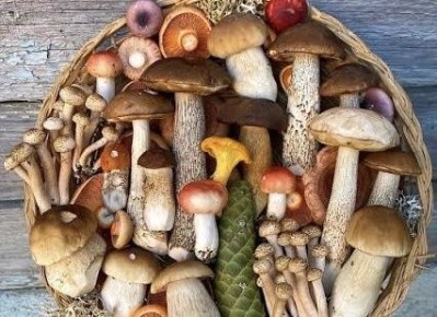 ��� ��������� �������� � �������� ������� �����