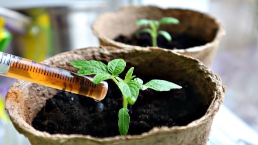 ��� ��������� ������������� ������� �������: ������� ������