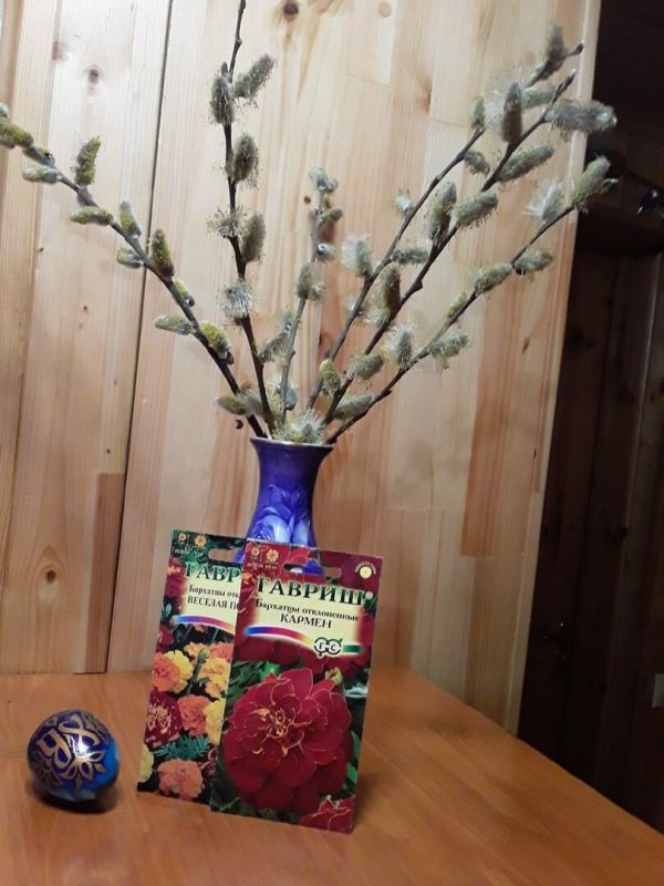 ������ ��������� ���������: �������� ��� �� ��������?