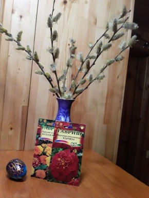 ������ ��������� ���������: �������� ��� �� ��������?