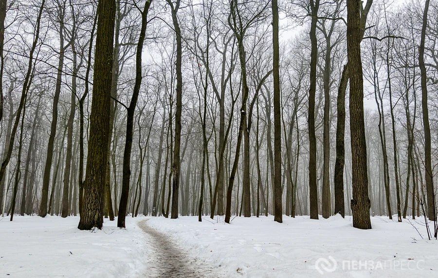 � ����� 4 ����� ��������� �� ���� �������� � ��������� ����