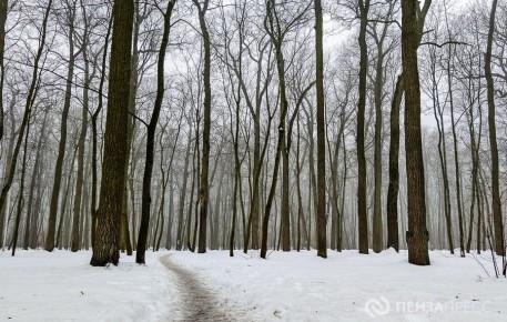 � ����� 4 ����� ��������� �� ���� �������� � ��������� ����