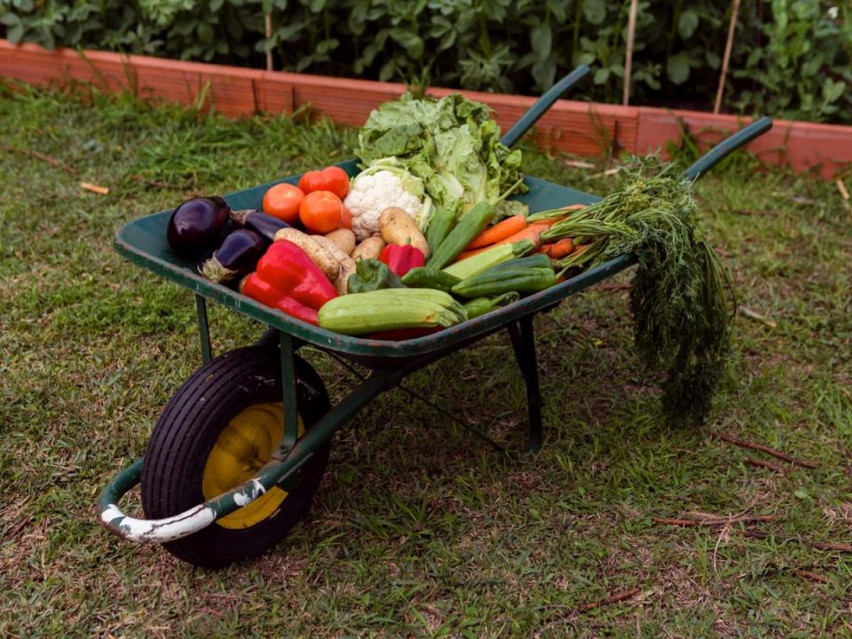 �������� ��� ���������: ��� ��������� ������� �� ������