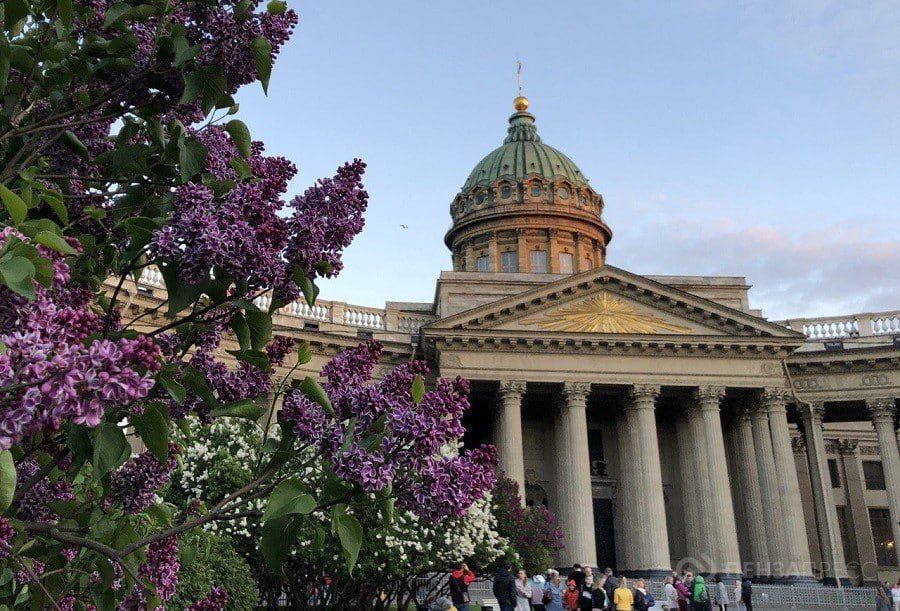 ������ ������: ������� ����� ������ �� ����� � ������, ���������, ����, �������