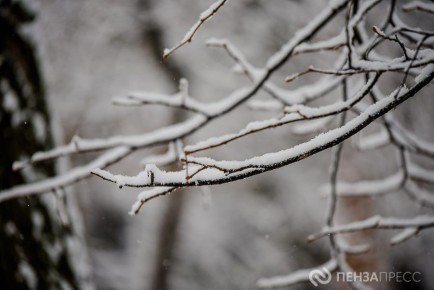 � ����� 6 ����� ��������� �� -6 �������� � ��������� ����