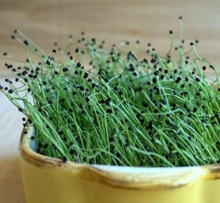 ���������� �����������: ��� ��� ������ ��� ����������