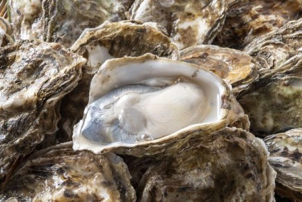 ����������� �����: ��������� ������� � ������� ������������ �� ��������