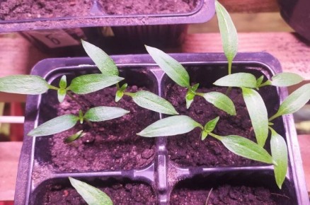 ��������� ����� � ����������: ������� ��������� ����� � �����