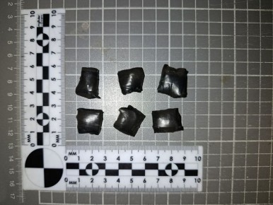 � ����� ������������ ����������� ��������� ������������� ���������� ���� � ���������� ������� ���������� ������� ��� � ������� �������