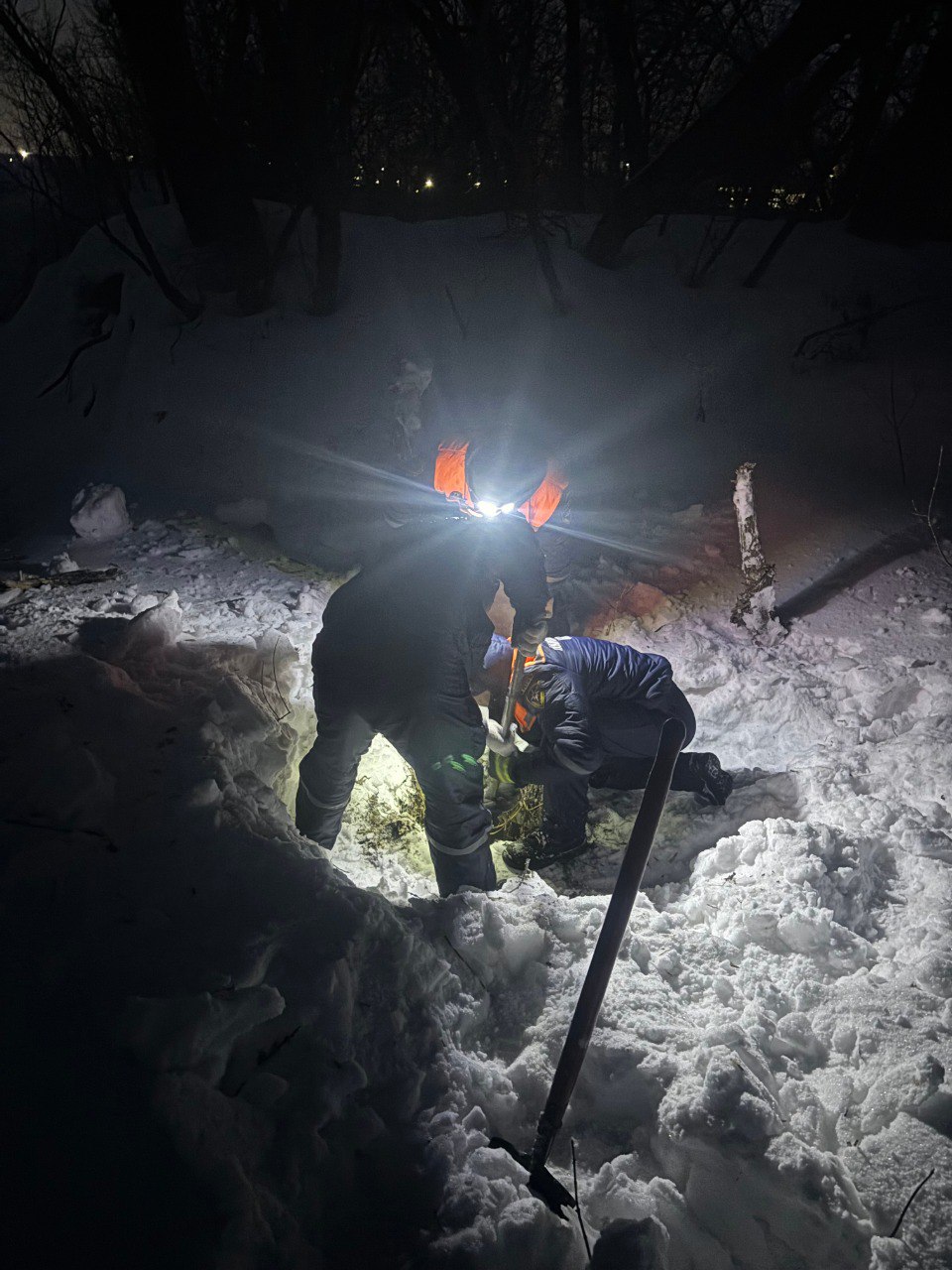 Сотрудники Пензенского пожарно-спасательного центра спасли собаку