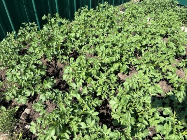 ��� ��������� ����� ������� ��������� ����� ����������� ��������� ������