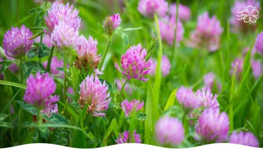 ������� ������������ ������������� ��������� � ����� ����