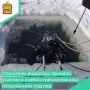 На базе спасательной станции на воде «Сурское водохранилище» прошли учебно-тренировочные занятия, в которых приняли участие спасатели-водолазы
