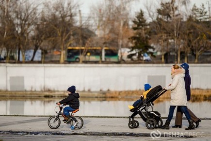 В Пензенской области утвержден план мероприятий в рамках Стратегии действий по реализации семейной и демографической политики, поддержке многодетности до 2036 года
