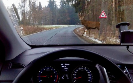 Госавтоинспекция региона обращается к водителям транспортных средств