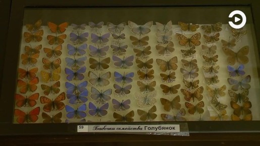 � ���������� ������������ ����� ���� ������� �����