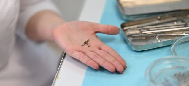 ������ ��� ������� ������������� �������� ����� ��� ������������