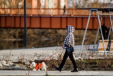 �����, �� �������� � ��������: ��������� ���������� � ������ �� 27 �����