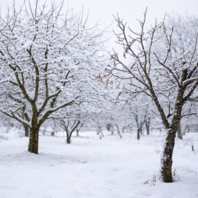 ������ ���� ������� ��������� ���� ����� ������?