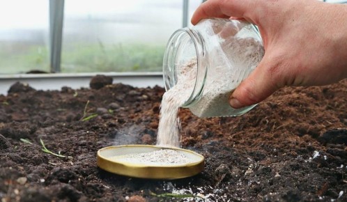 ��� ������ �������� ���������� ��������� ������� ��� ������ �������