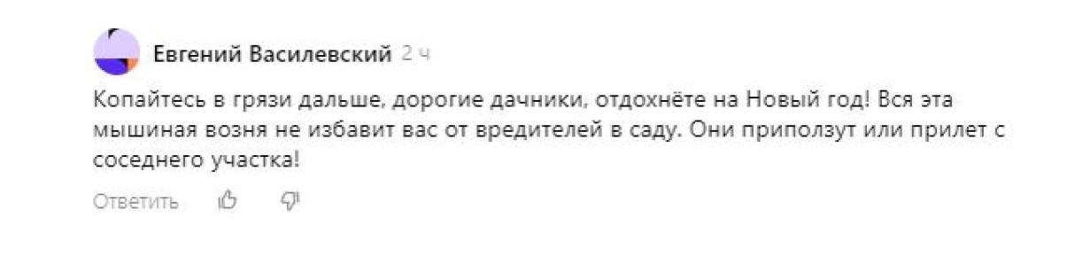 Новый взгляд на дачу: как меняется культура отдыха на загородных участках