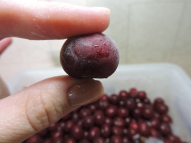 Необычные вареники с замороженной вишней: как приготовить и удивить близких