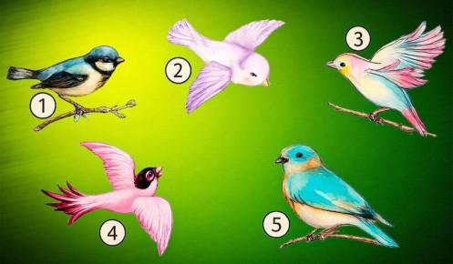 Как ваш выбор птицы может рассказать о вашем стиле любви