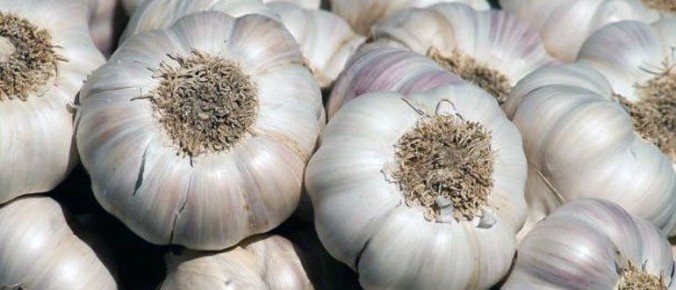 ����� ��������� ����� �������� ������ ������