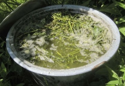 �������� ���������: ������� ������������� ���������� � �� ������